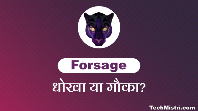 forsage business plan in hindi