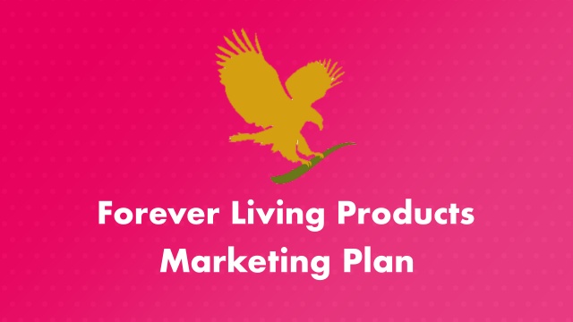 FLP Marketing Plan