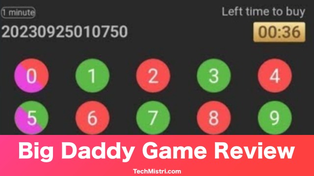 big daddy game review