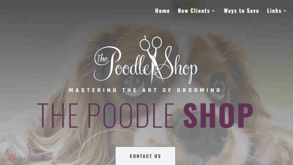 Poodleshop.com homepage