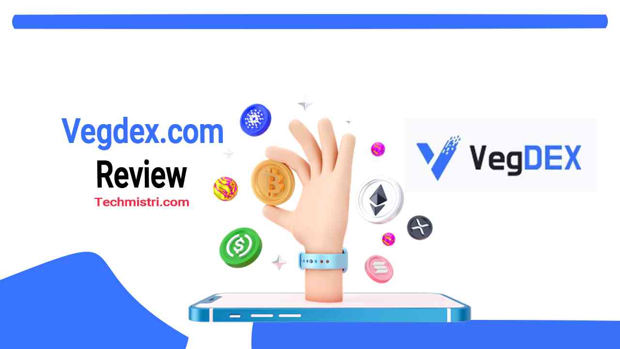 Vegdex.com Review Real or Fake Site